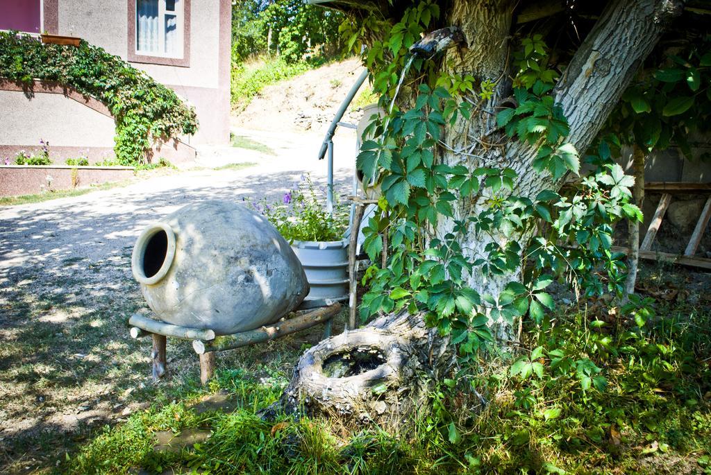 Noravank B&B Chʼiva Exteriér fotografie